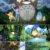 Anime Landscape Posters | Anime Posters Ver7